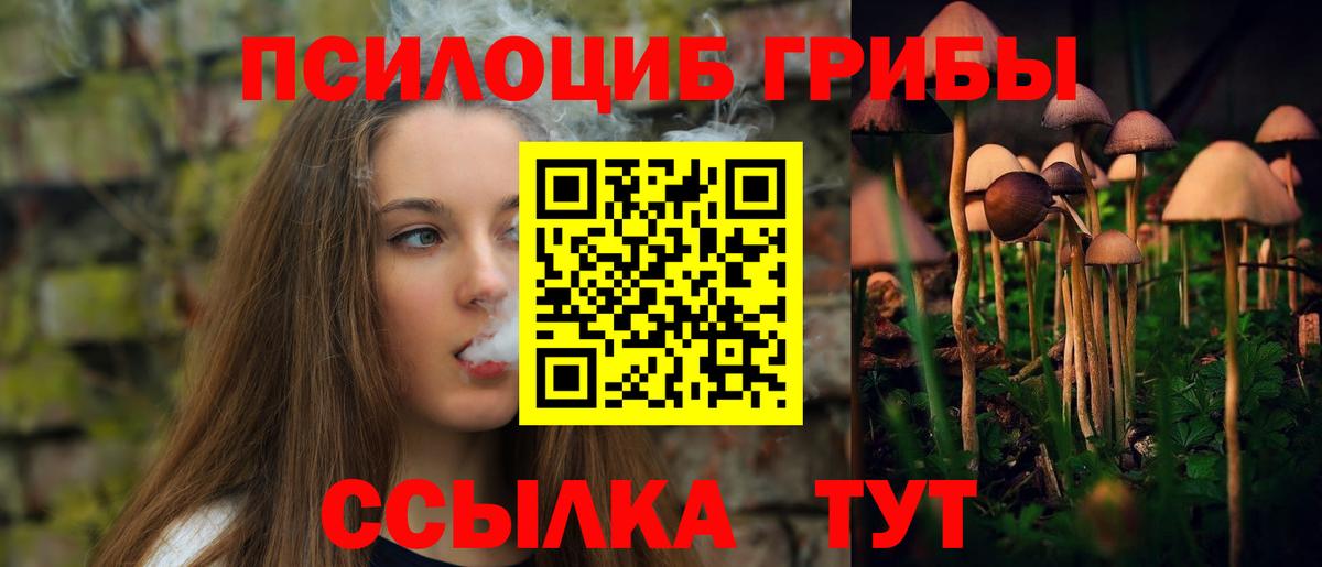 Галлюциногенные грибы GOLDEN TEACHER Амурск