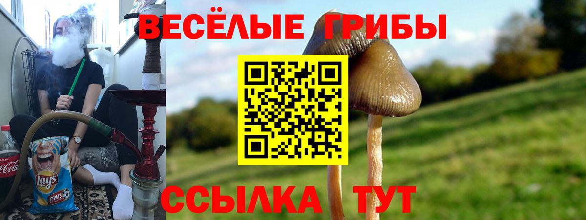 Амурск  Галлюциногенные грибы Cubensis  Галлюциногенные грибы MAGIC MUSHROOMS  Вход с VPN 